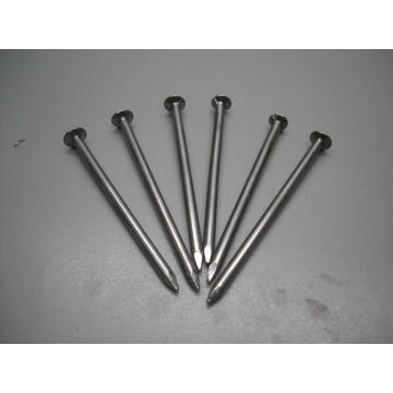 Hot Dipped Galvanized Round Common Nail